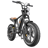 HillMiles MileZoom