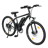 iSinwheel M10
