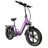 Kingbull Literider 2.0