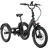 Lectric Trike2