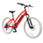 Life EV Cruiser ST