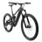 Marin Alpine Trail E1