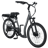 Pedego Boomerang Platinum Edition