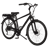 Pedego City Commuter Platinum Edition