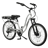 Pedego Interceptor Platinum Edition