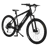 Pedego Ridge Rider