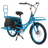 Pedego Stretch