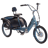 Pedego Trike