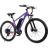 Qlife Racer Step Over