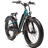 Rad Power RadRover 6 Plus