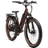 Rad Power Radster Trail