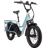 Rad Power RadWagon 5
