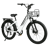 SAMEBIKE RS-A01 Plus