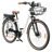 SAMEBIKE RS-A07 250W