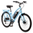 Schwinn EC1