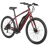 Schwinn Regent