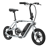 Schwinn Twister