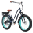 Sixthreezero EVRYjourney Fat Tire