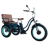 Sixthreezero EVRYjourney Rickshaw