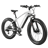 Velowave Ranger