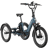 Lectric Trike2 750