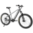 YOUNG ELECTRIC E-DualRide