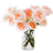 Grace Rose Farm