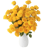 POMP Flowers