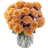 Rose Farmers