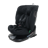 Asalvo Austen 2