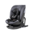 Asalvo Panafix