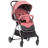 Chipolino Clarice