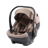 egg Shell