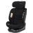 Enfasafe Maxima