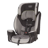 Evenflo Maestro Sport
