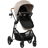 Evenflo Pivot NXT