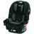 Graco 4Ever