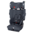 InfaSecure Cadet