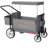 Radio Flyer Odyssey