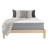 DreamFoam Doze