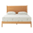 Egohome Dreamer Pro