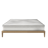 FlexiSpot Plus Hybrid