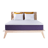 Polysleep The Origin