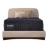 Purple RejuvenatePlus