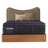 Purple RejuvenatePremier