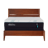 Tempur-Pedic Adapt 2.0