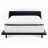The WinkBed