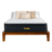 Titan Plus Luxe