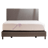 Tulo Lavender