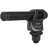 Canon DM-100